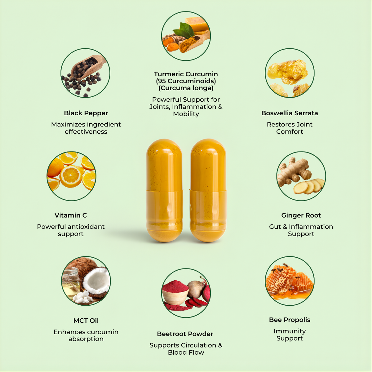 Pridewell Turmeric Curcumin Complex